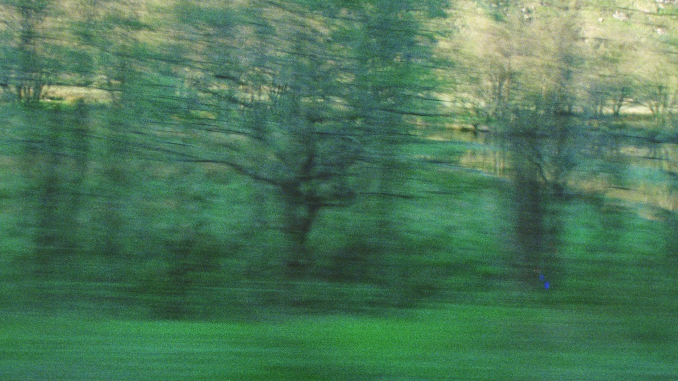 wilderness